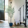 Tuscan-style artificial olive tree in kitchen by spiral staircase