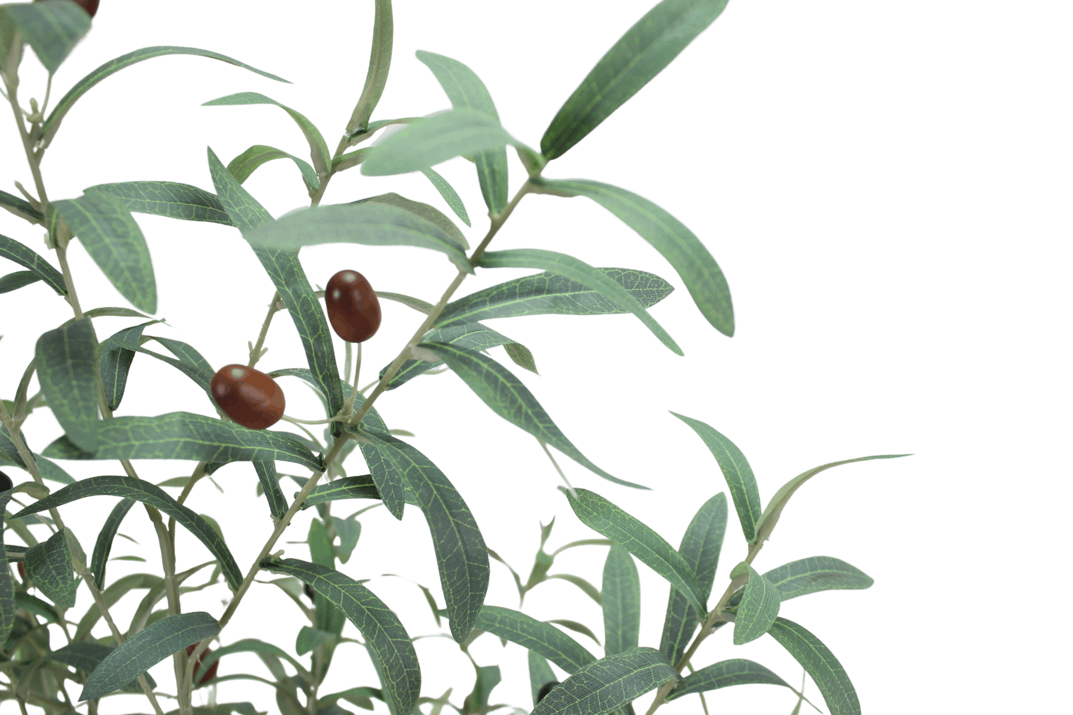 Artificial Tuscan olive tree leaves
