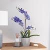 Purple artificial vanda orchid on side table