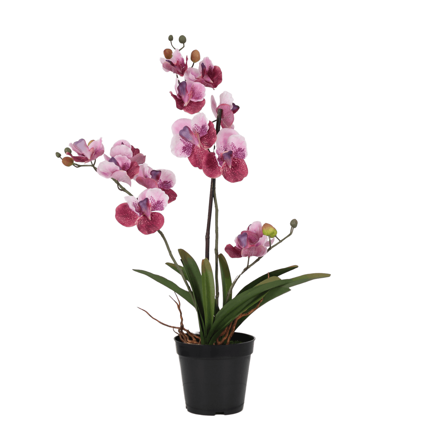 Faux pink vanda orchid flower