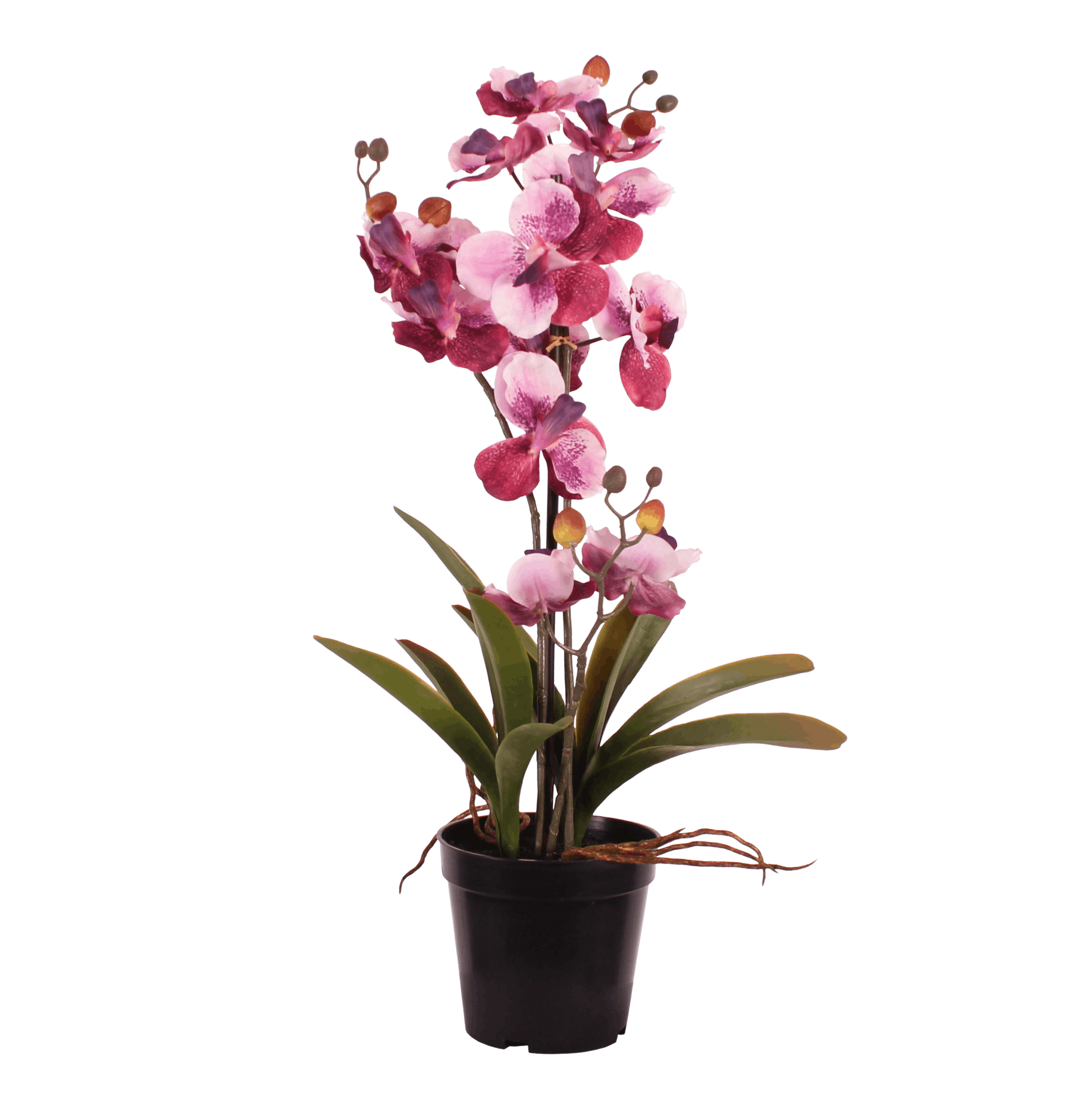 Artificial pink  vanda orchid