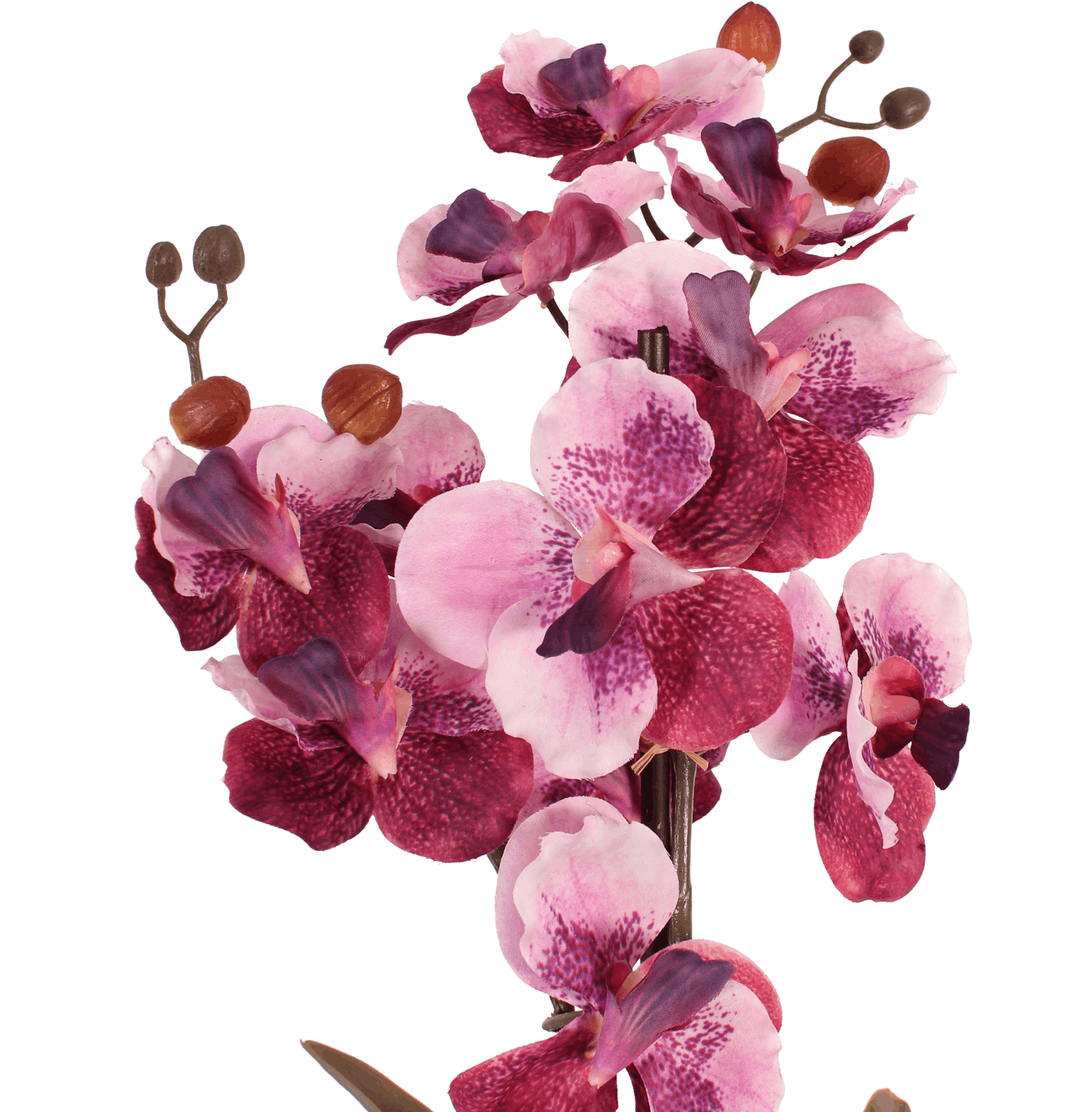 Pink artificial vanda orchid close up