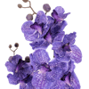 Artificial purple vanda orchid flowers