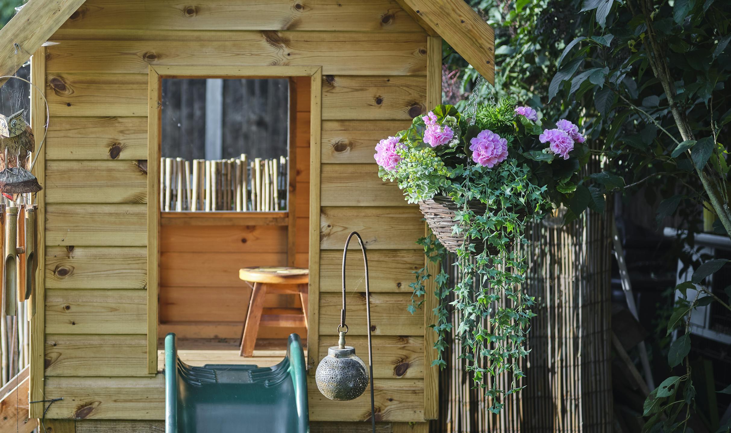 wild berry & geranium hanging basket in garden