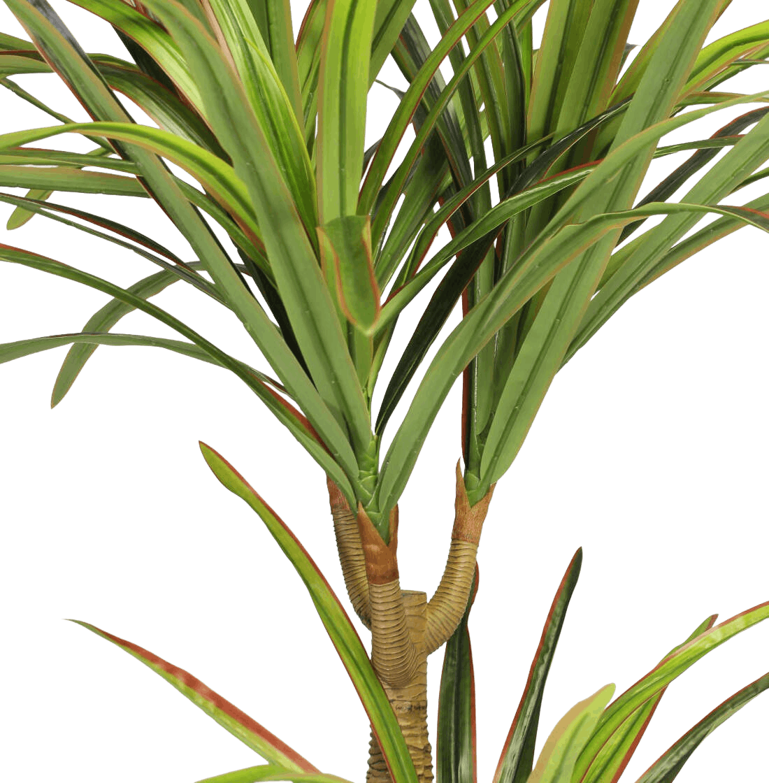 Faux yucca plant leaves