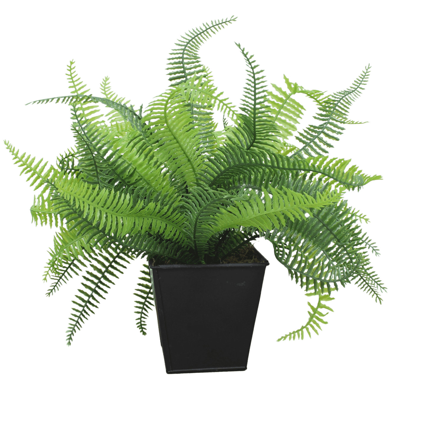 Artificial fern bush