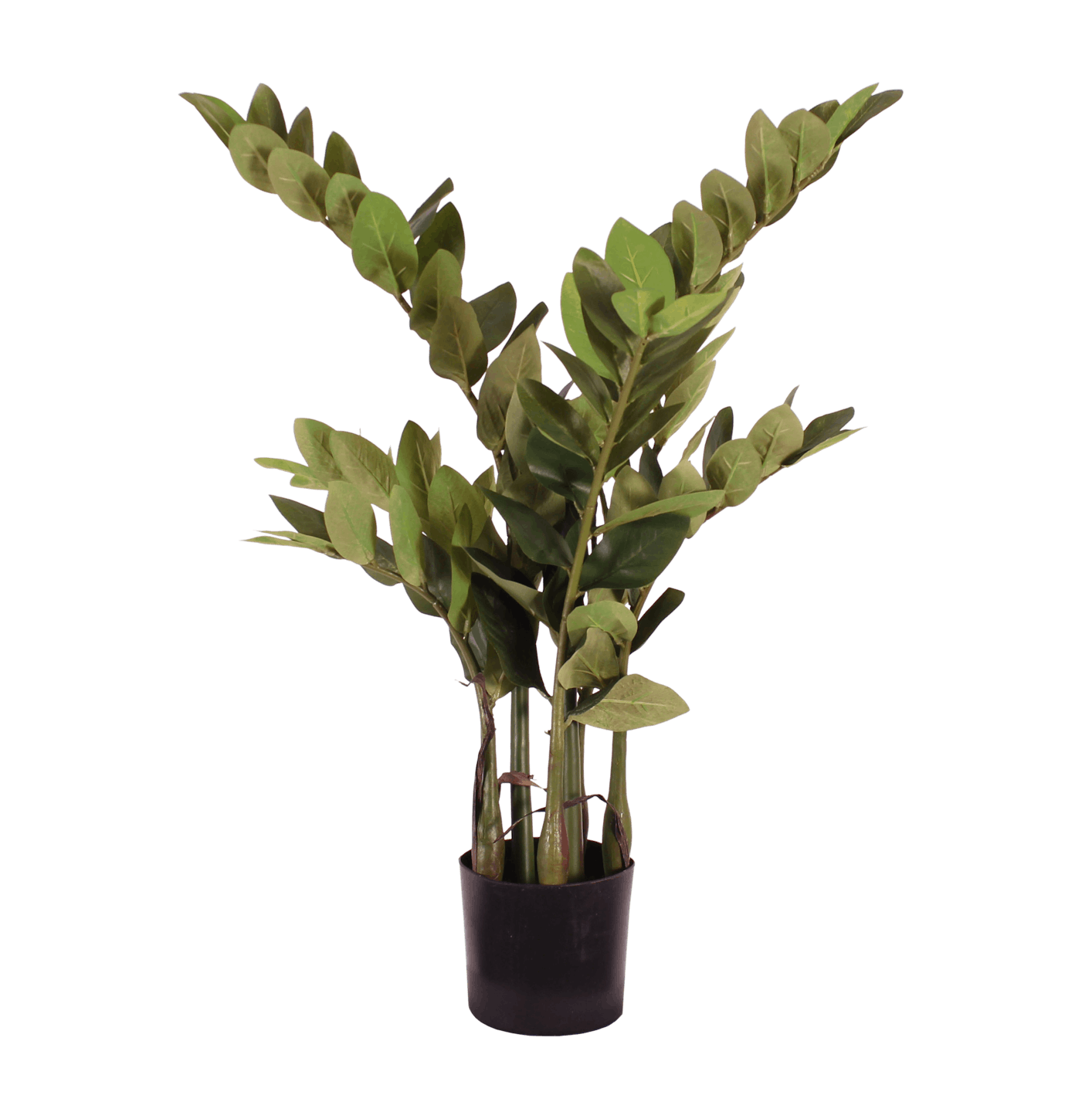 Artificial zamioculcas plant