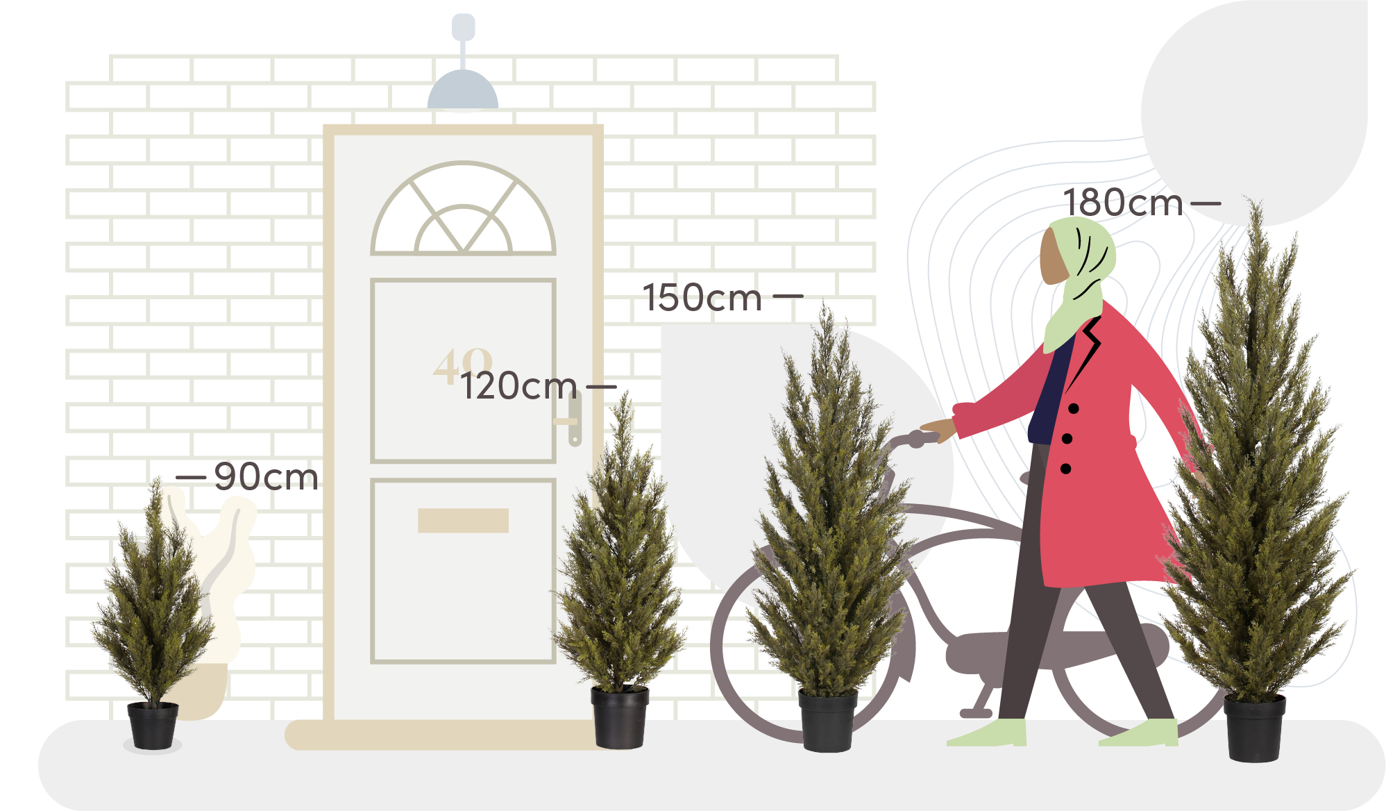 Conifer tree size comparison