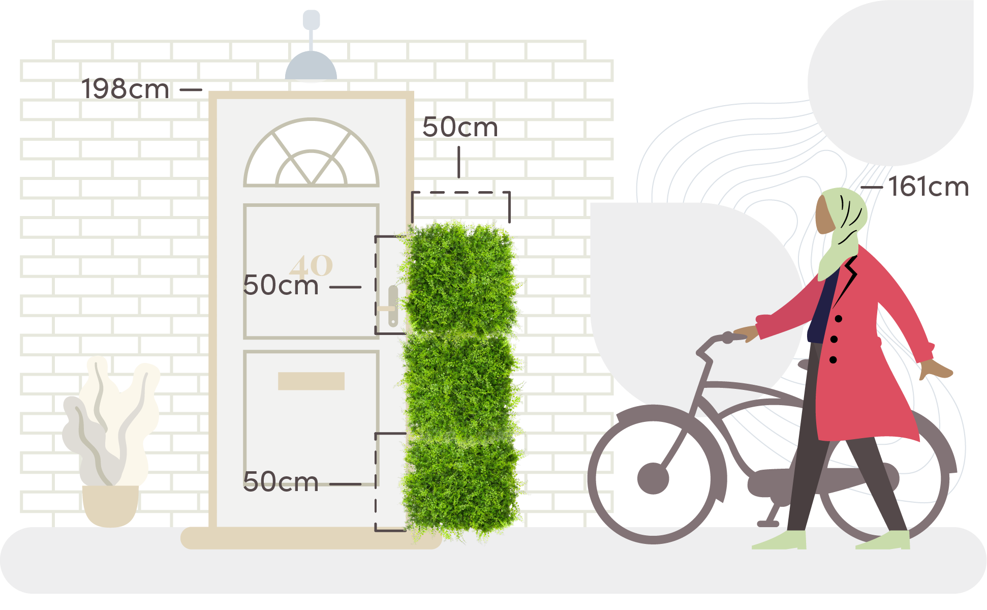Fern living wall size comparison