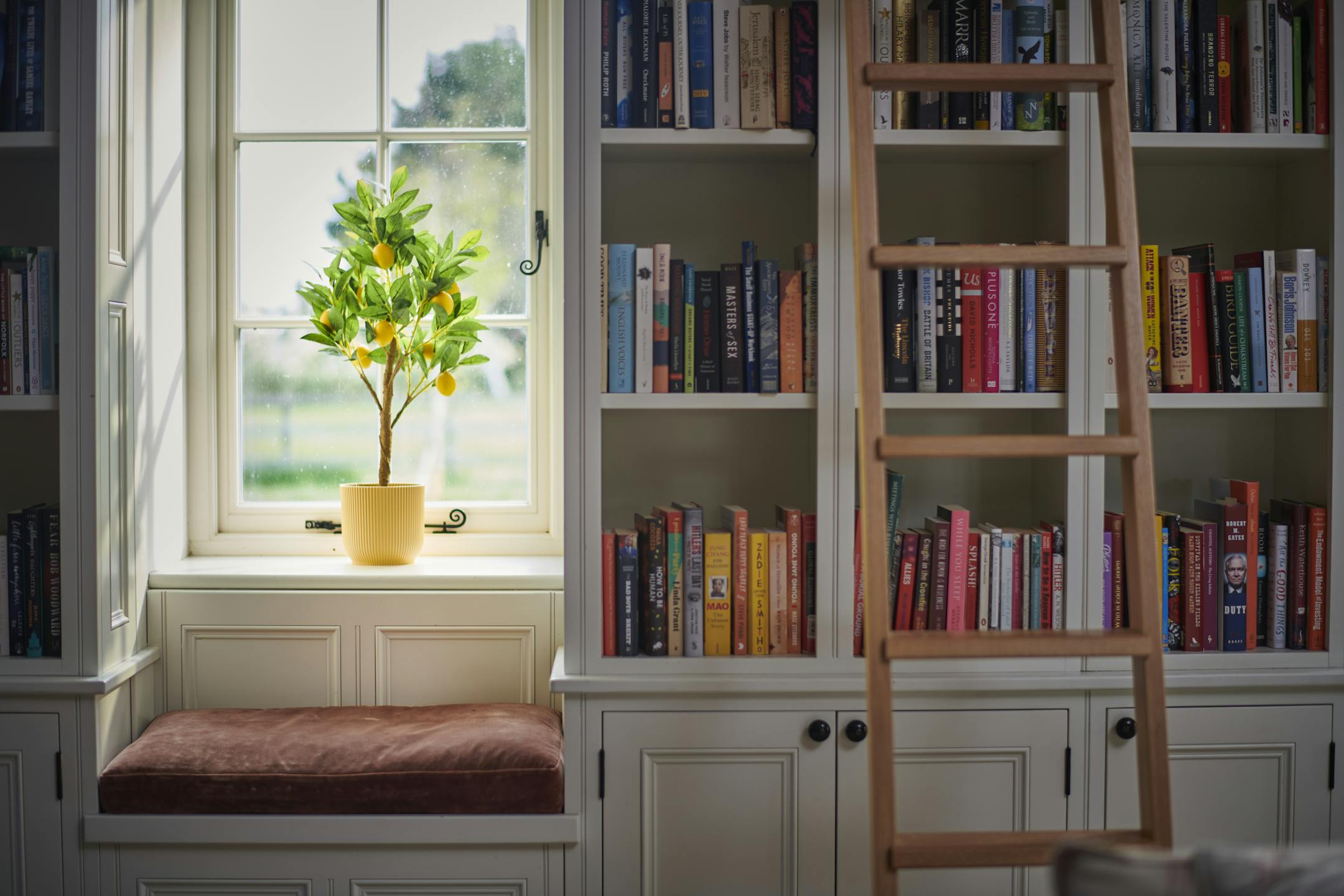 Artificial lemon bush on window sill near book shelf