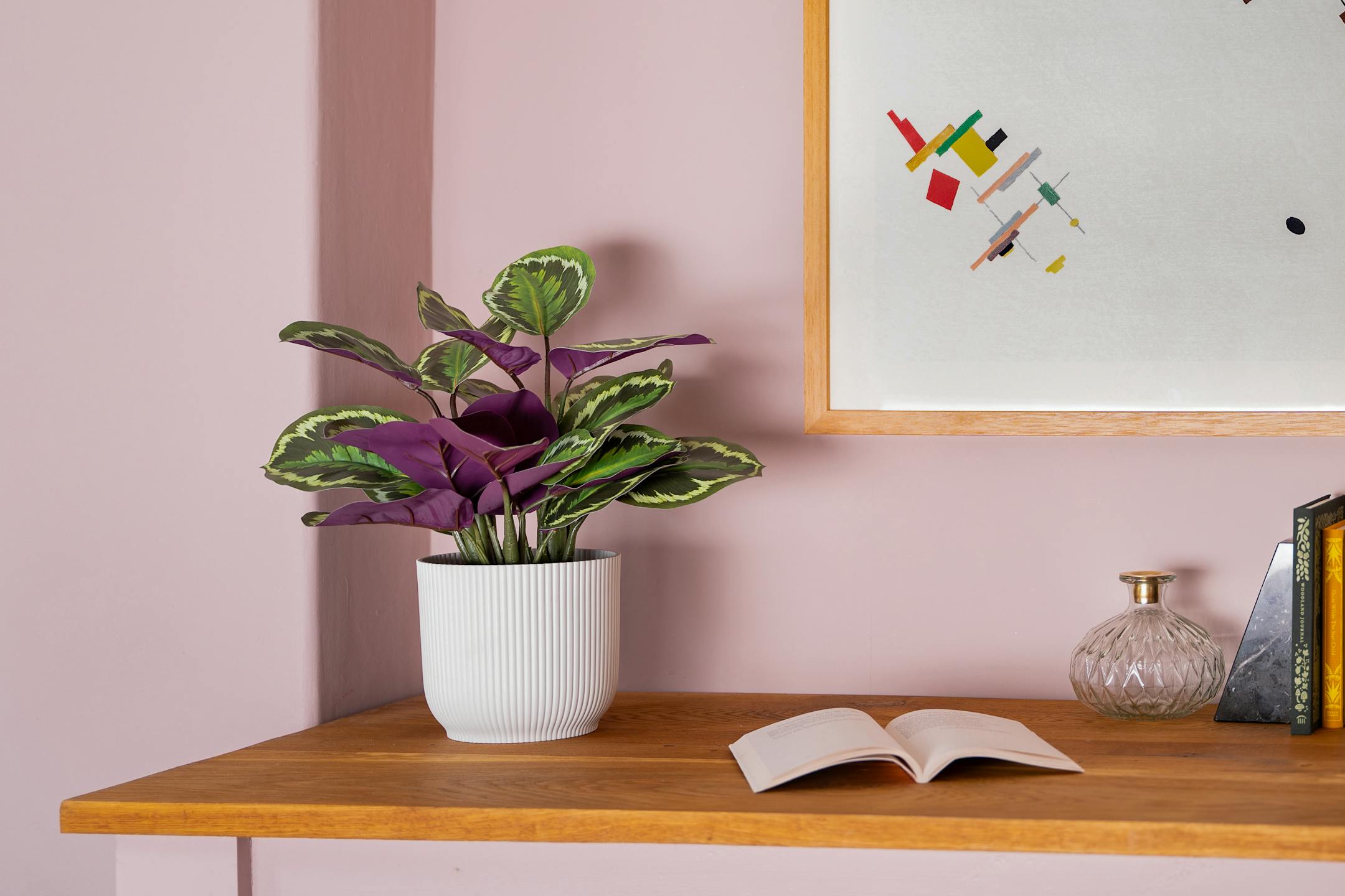 Artificial medallion calathea on wooden desk in pink office