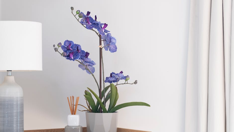 Purple vanda orchid on wooden table