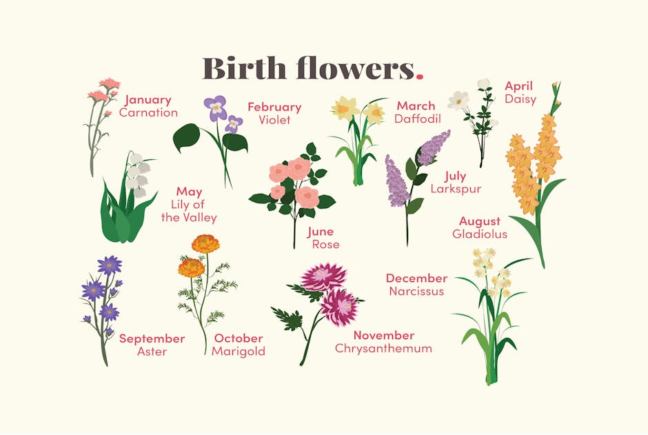 birth flowers overview graphic