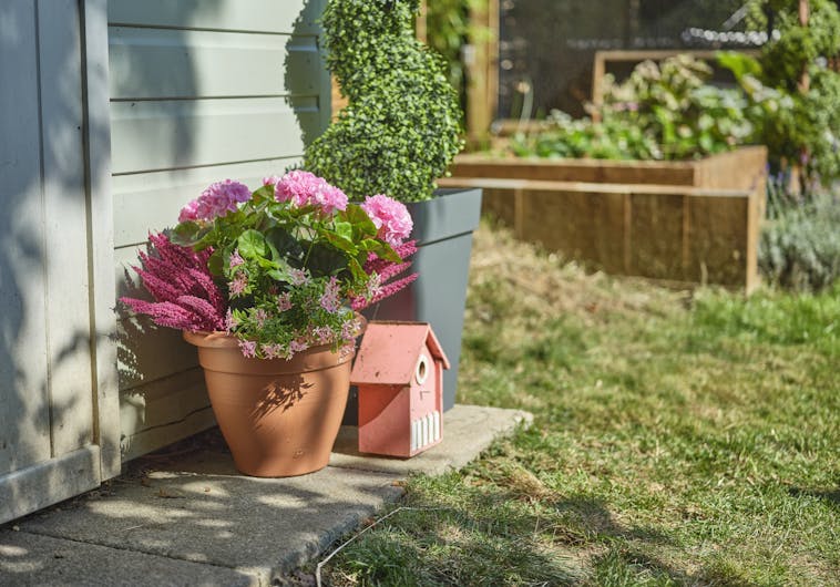 Pink artificial erica and geranium patio planter in garden with shed
