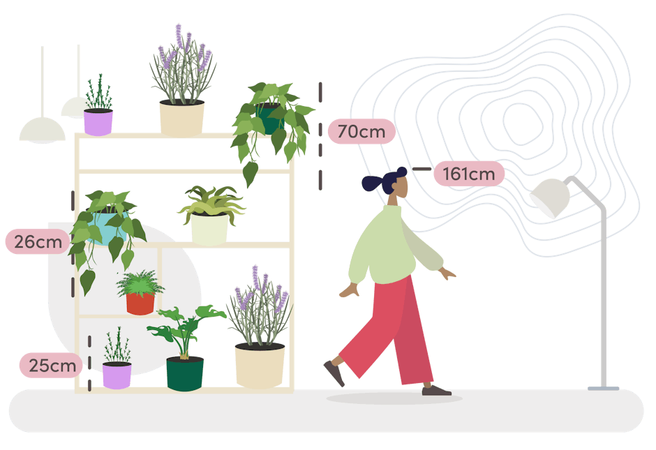 Desktop Plant Trio Size Guide Graphic