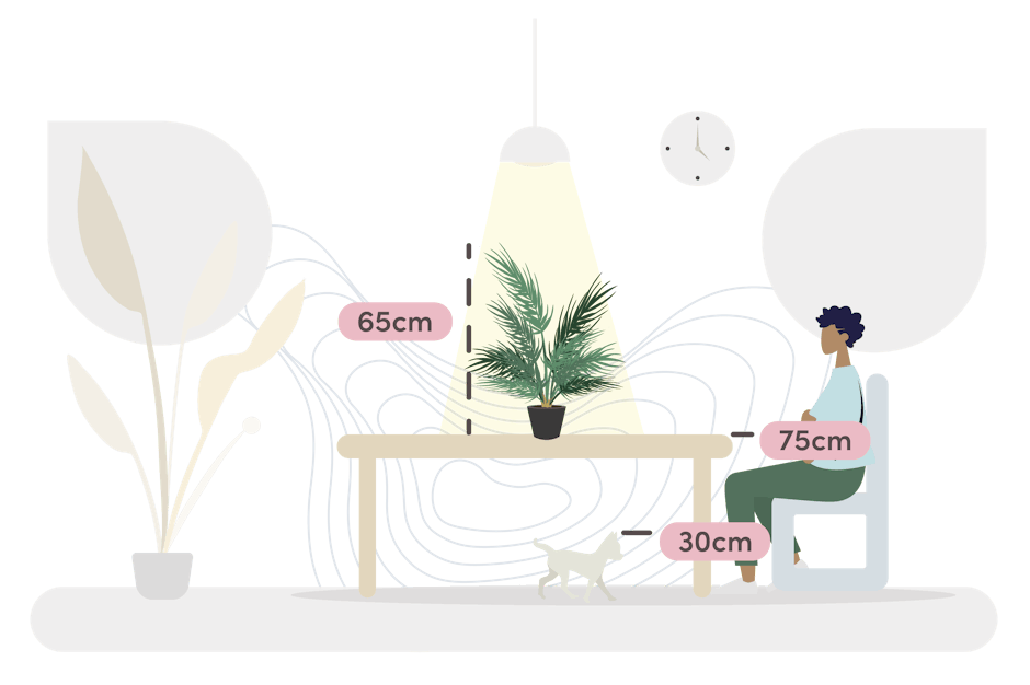 small palm size guide graphic