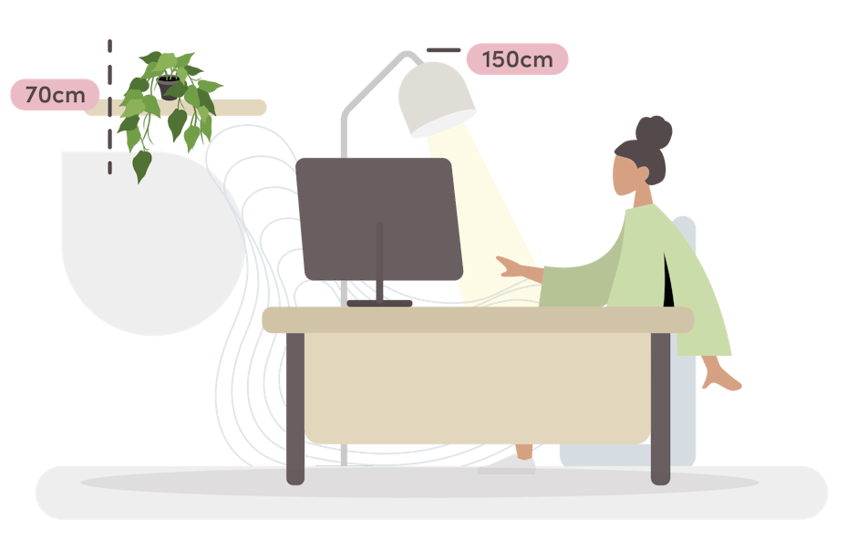 Devil's ivy pothos size guide graphic