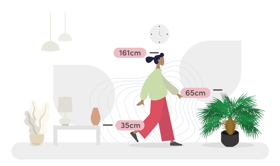 dicksonia dwarf palm size guide graphic