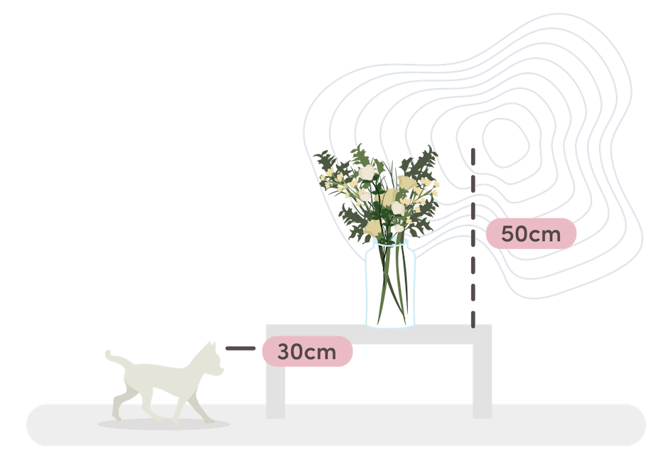 enchanting arrangement size guide graphic