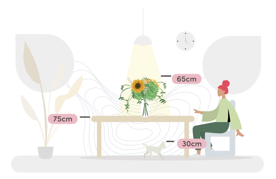 Exotic bouquet size guide graphic