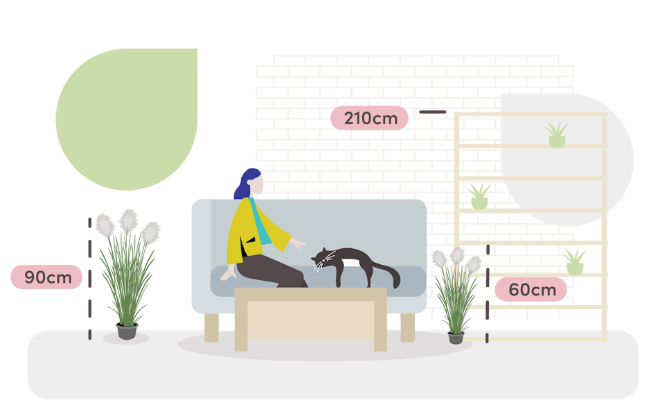 foxtail grass size guide graphic