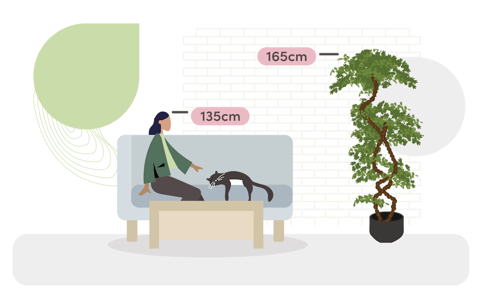 fruticosa size guide graphic