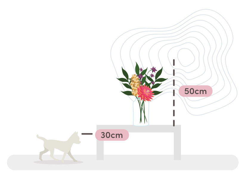 Hawaiian flower arrangement size guide graphic