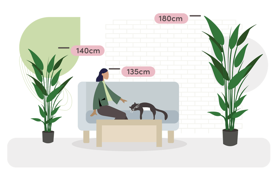 Heliconia size guide graphic