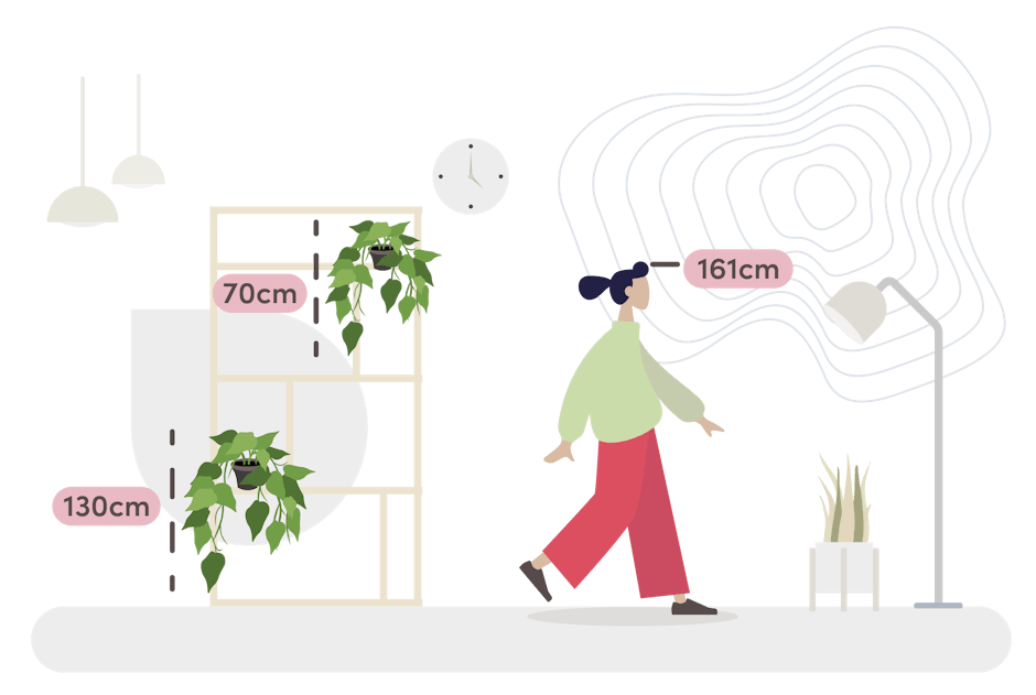 ivy foliage bush size guide graphic