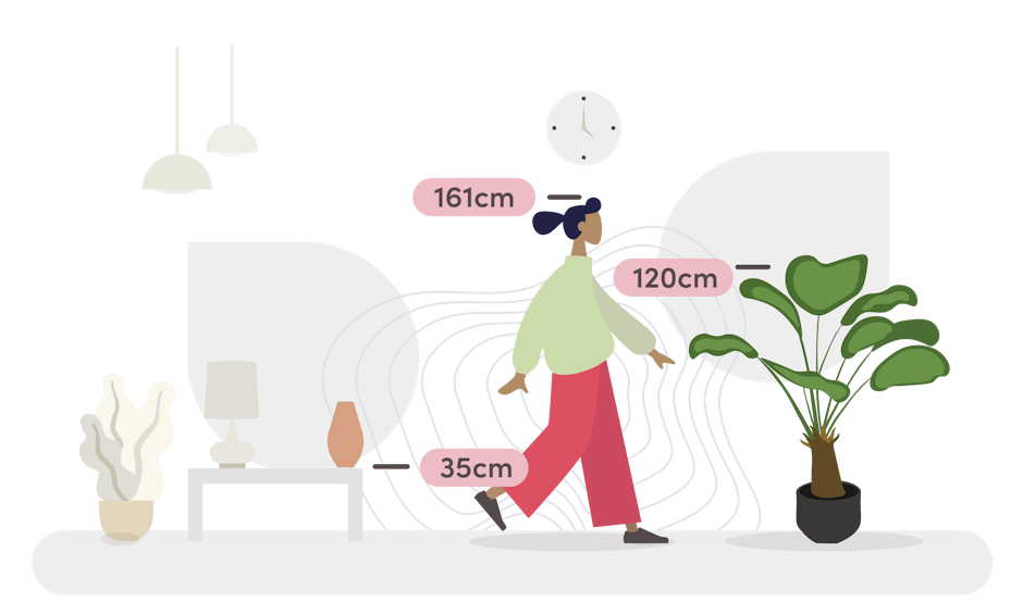 Licuala palm size guide graphic