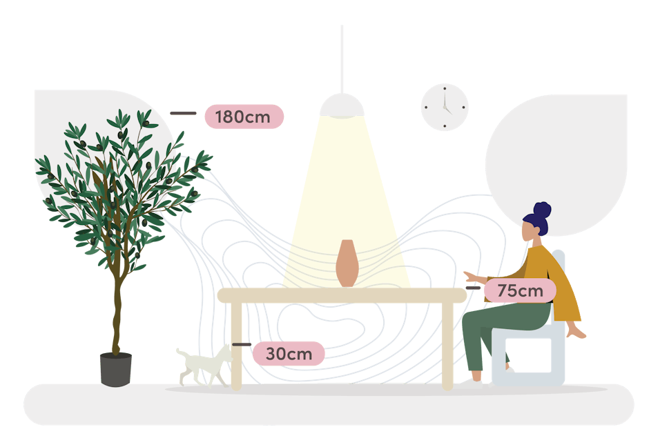 Artificial Ligurian olive tree size guide graphic