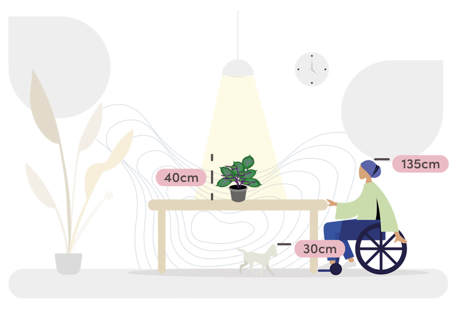medallion calathea size guide graphic