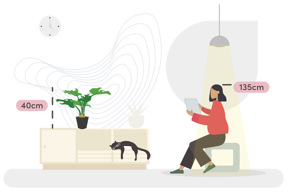 monstera albo size guide graphic