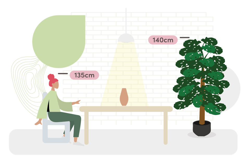 Monstera minima size guide graphic