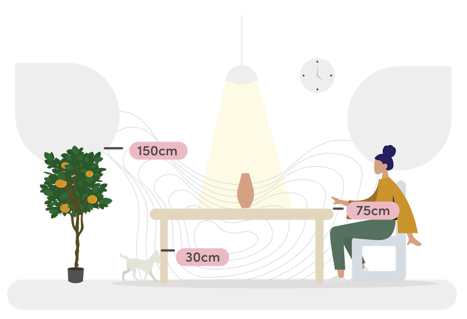 orange tree size guide graphic