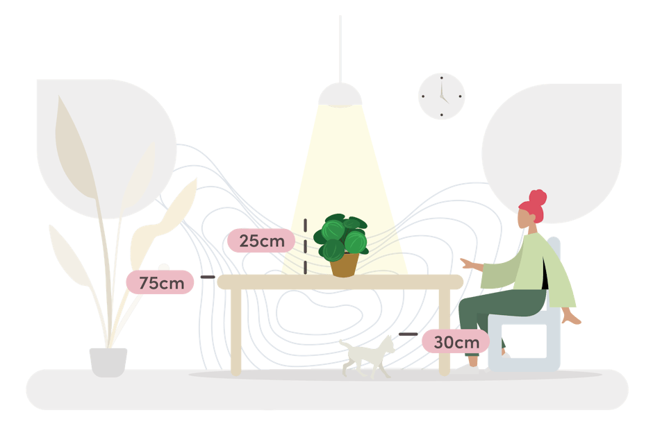 pilea size guide graphic