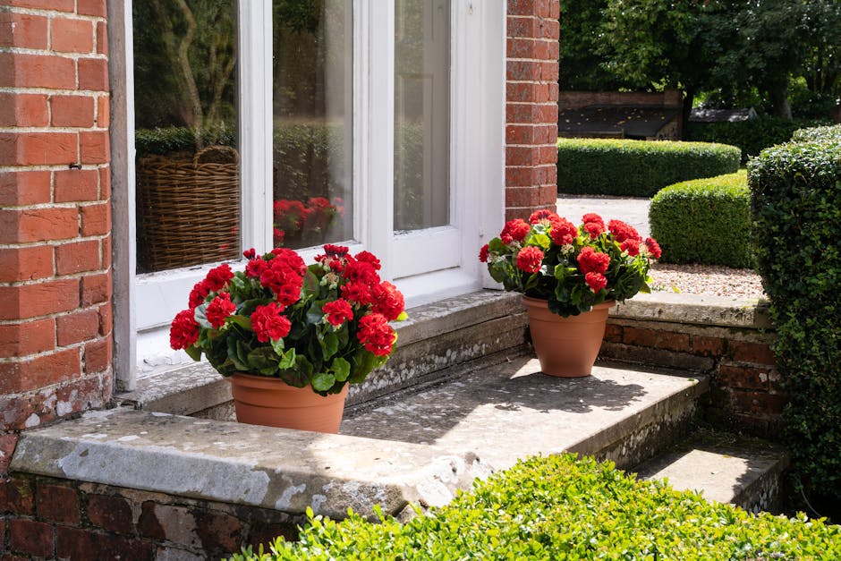 red geranium patio planters on step