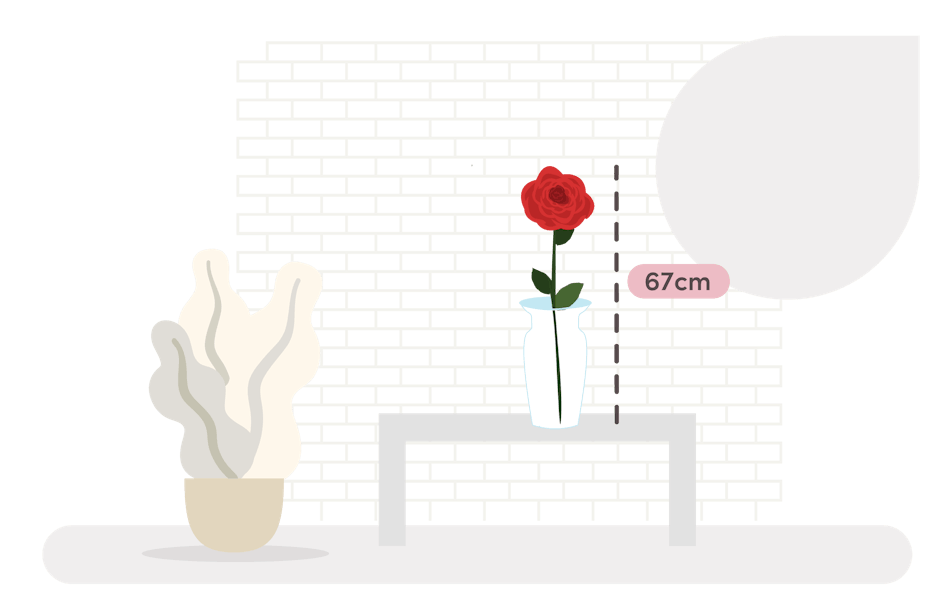 rose stem size guide graphic
