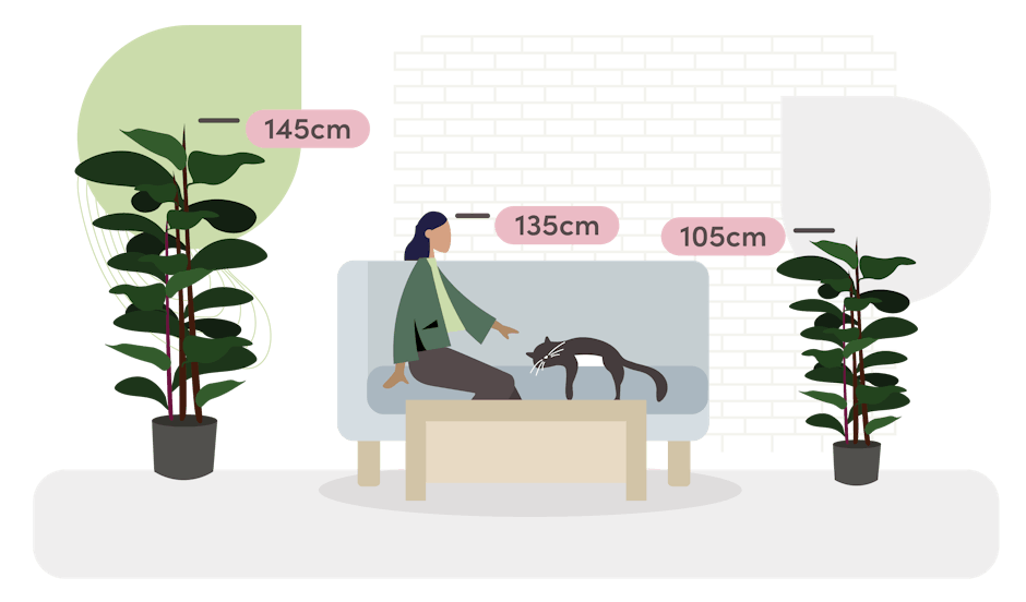Artificial rubber tree size guide graphic
