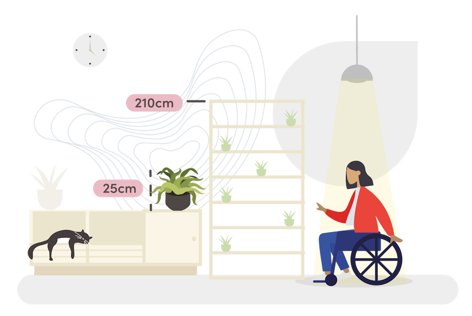 Spider plant size guide graphic