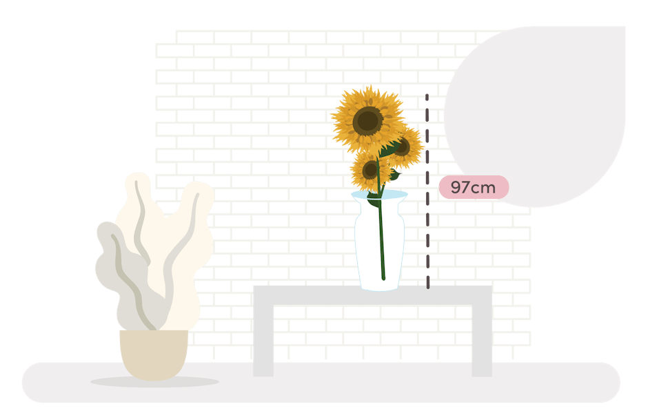 Sunflower stem size guide graphic