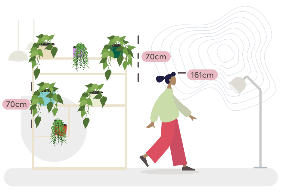 Trailing Plant trio size guide graphic