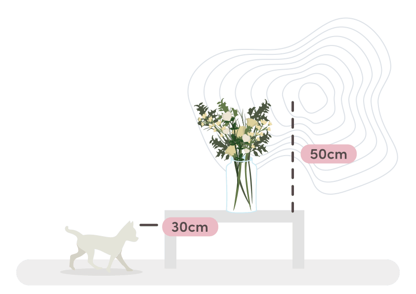 tulips bunch size guide graphic